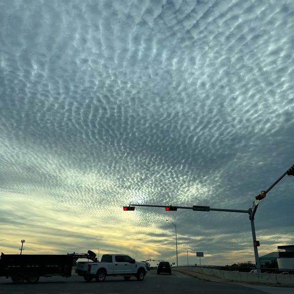 Meet your Posher, Sloan - Picture 1 of 1